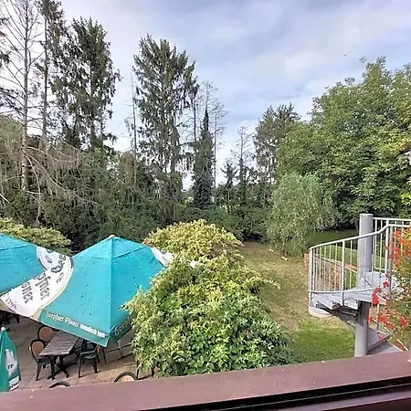Logis Hotel Auberge De La Foret 호텔
